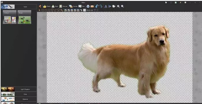 20191018024571347134.jpg